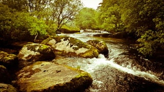 A RIVER RUNS THROUGH I.T. 