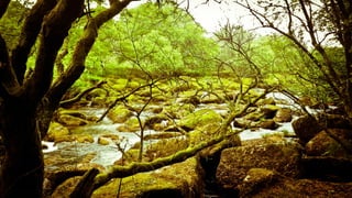 A RIVER RUNS THROUGH I.T. 