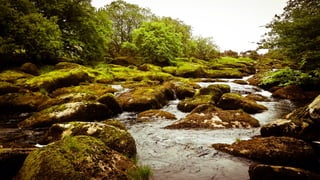 A RIVER RUNS THROUGH I.T. 