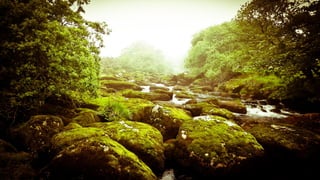 A RIVER RUNS THROUGH I.T. 