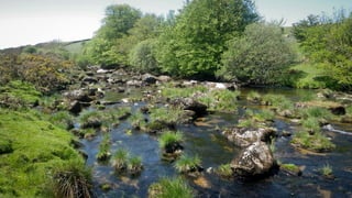 A RIVER RUNS THROUGH I.T. 