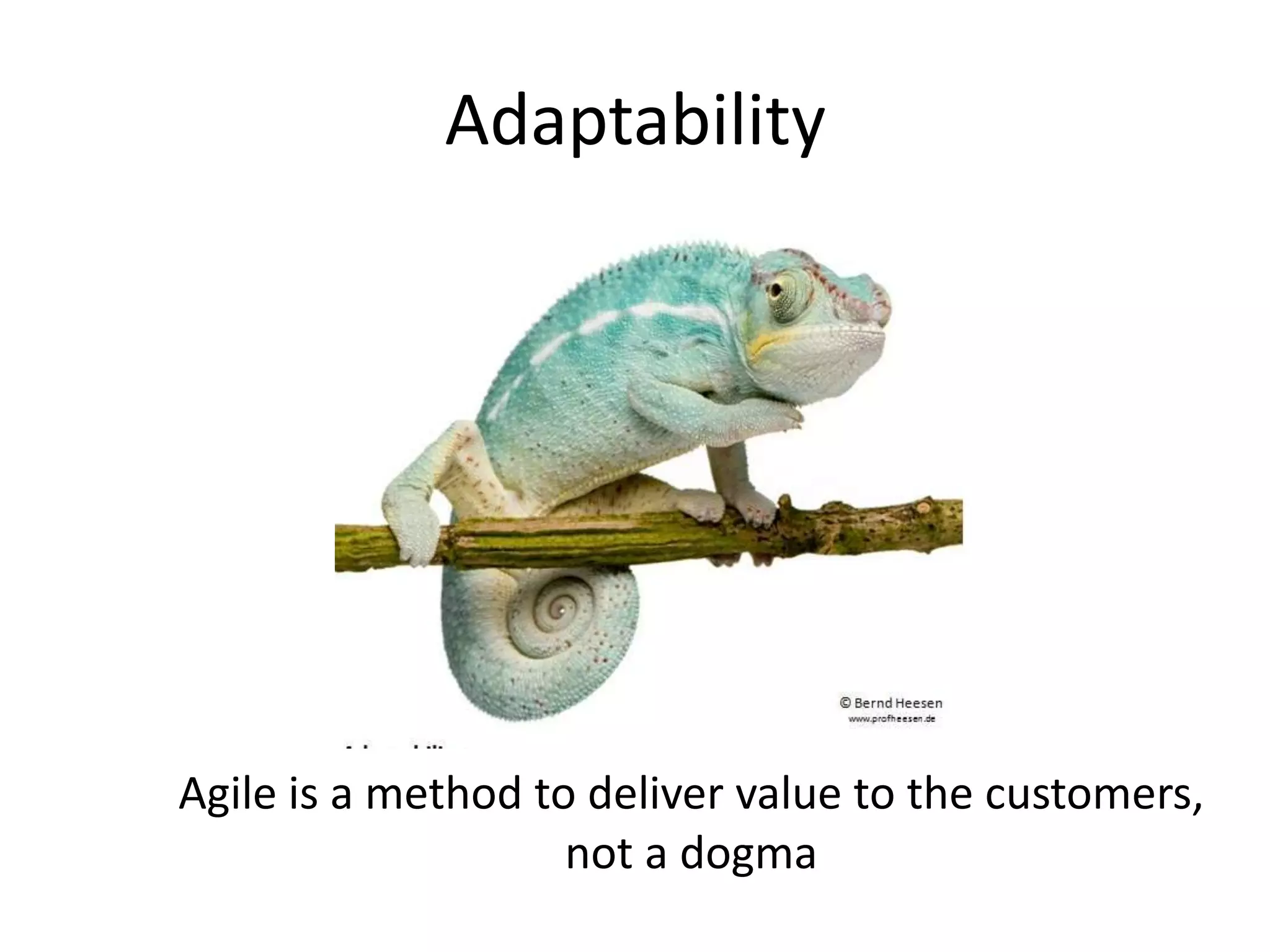 Adaptability




Agile is a method to deliver value to the customers,
                    not a dogma
 