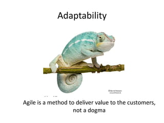 Adaptability




Agile is a method to deliver value to the customers,
                    not a dogma
 