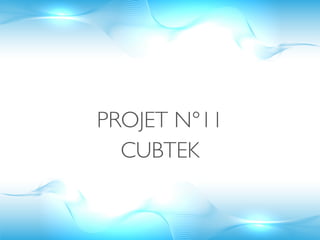 PROJET N°11
  CUBTEK
 