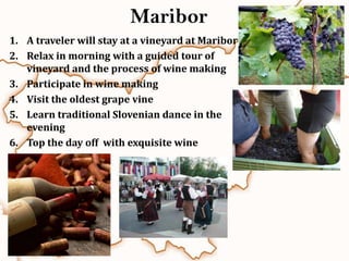 Maribor
1. A traveler will stay at a vineyard at Maribor
2. Relax in morning with a guided tour of
   vineyard and the process of wine making
3. Participate in wine making
4. Visit the oldest grape vine
5. Learn traditional Slovenian dance in the
   evening
6. Top the day off with exquisite wine
 