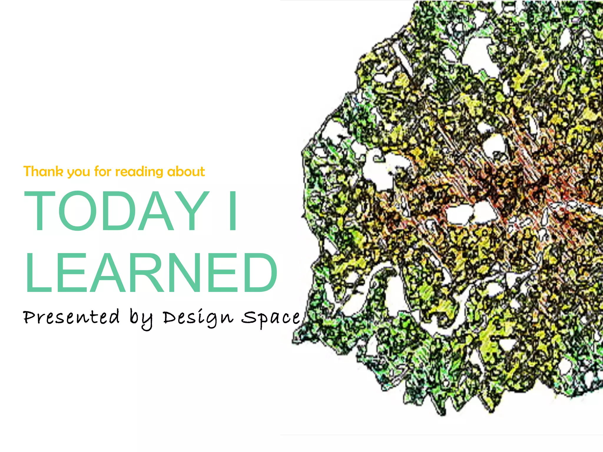 Thank you for reading about TODAY I  LEARNED Presented by Design Space 