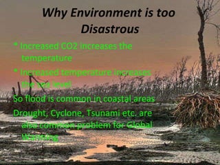 Why Environment is too  Disastrous <ul><li>* Increased CO2 increases the temperature </li></ul><ul><li>* Increased tempera...