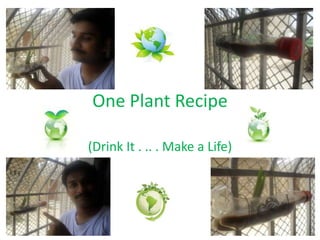 One Plant Recipe

(Drink It . .. . Make a Life)
 