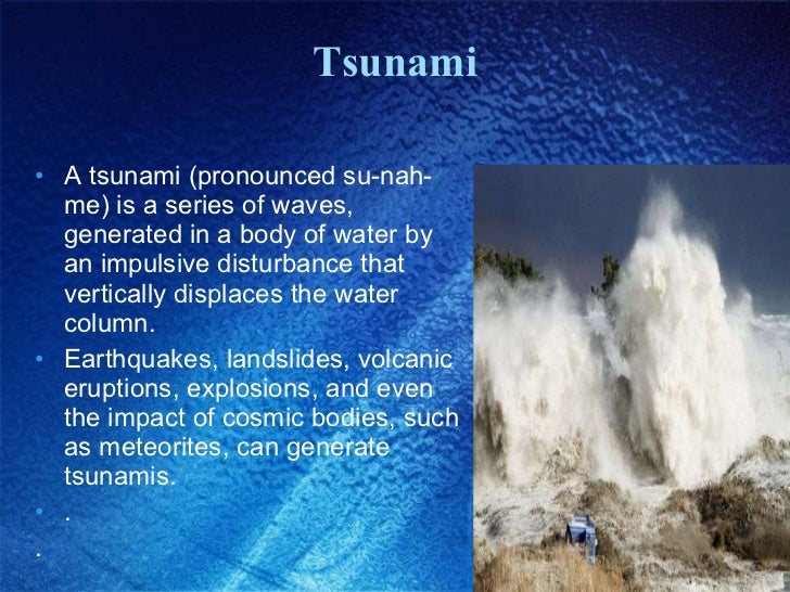 Challenge Future Tsunami