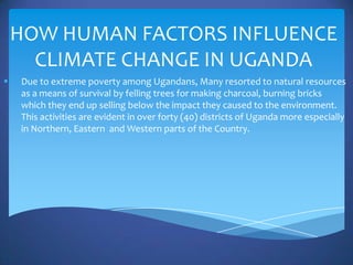 HOW HUMAN FACTORS INFLUENCE
      CLIMATE CHANGE IN UGANDA
   Due to extreme poverty among Ugandans, Many resorted to natural resources
    as a means of survival by felling trees for making charcoal, burning bricks
    which they end up selling below the impact they caused to the environment.
    This activities are evident in over forty (40) districts of Uganda more especially
    in Northern, Eastern and Western parts of the Country.
 