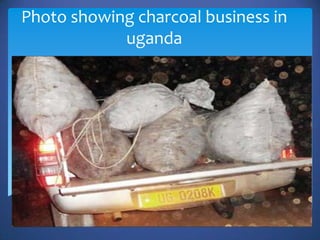 Photo showing charcoal business in
            uganda
 