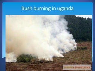 Bush burning in uganda
 