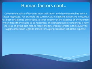 Human factors cont..
   Government policy of favoring industrialization and development has been a
 factor neglected. For example the current Coca-Cola plant at Namave in Uganda
has been established on wetland to favor investor at the expense of environment
 which made the wetland to be reclaimed. The dangerous blow underway is now
  the issue of giving part Mabira forest the few tropical forests in the country to
    Sugar corporation Uganda limited for Sugar production yet at the expense
 