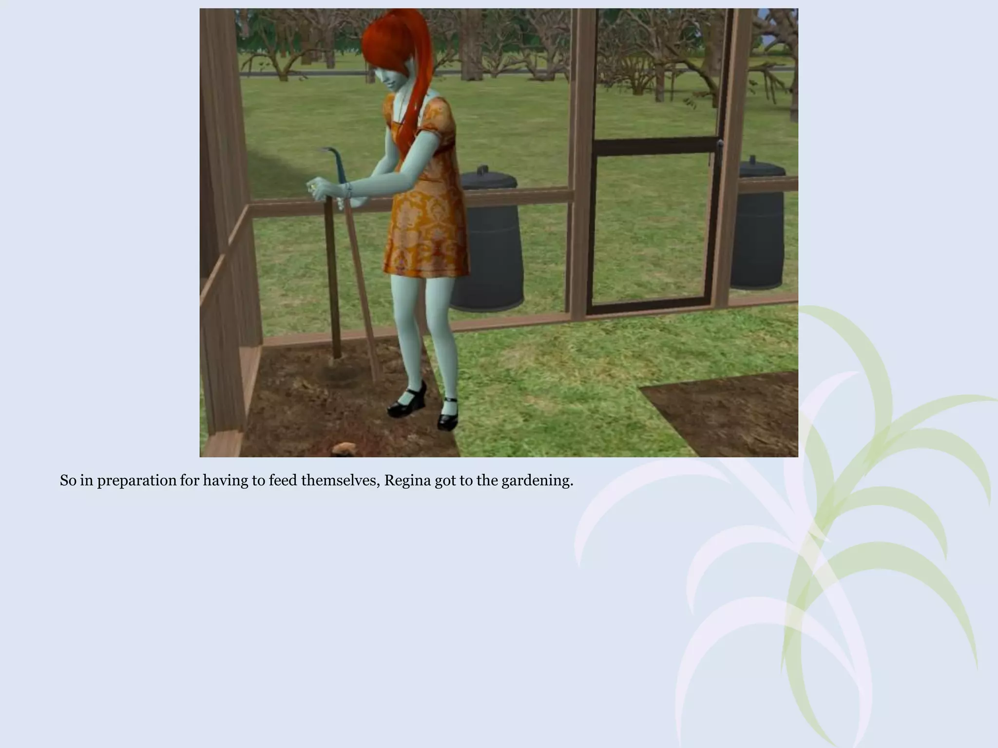 So in preparation for having to feed themselves, Regina got to the gardening.

 