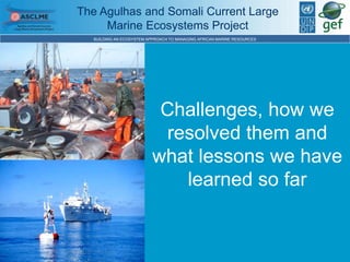 The Agulhas and Somali Current Large 
Marine Ecosystems Project 
BUILDING AN ECOSYSTEM APPROACH TO MANAGING AFRICAN MARINE RESOURCES 
Challenges, how we 
resolved them and 
what lessons we have 
learned so far 
 