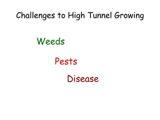 Challenges to High Tunnel Growing ,[object Object],Pests Disease 