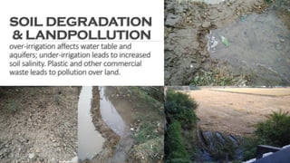 SOIL DEGRADATION
& LANDPOLLUTION
over-irrigation affects water table and
aquifers; under-irrigation leads to increased
soil salinity. Plastic and other commercial
waste leads to pollution over land.
 