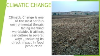 CLIMATIC CHANGE
Climatic Change is one
of the most serious
environmental threats
facing mankind
worldwide. It affects
agriculture in several
ways , including its
direct impact in food
production.
 
