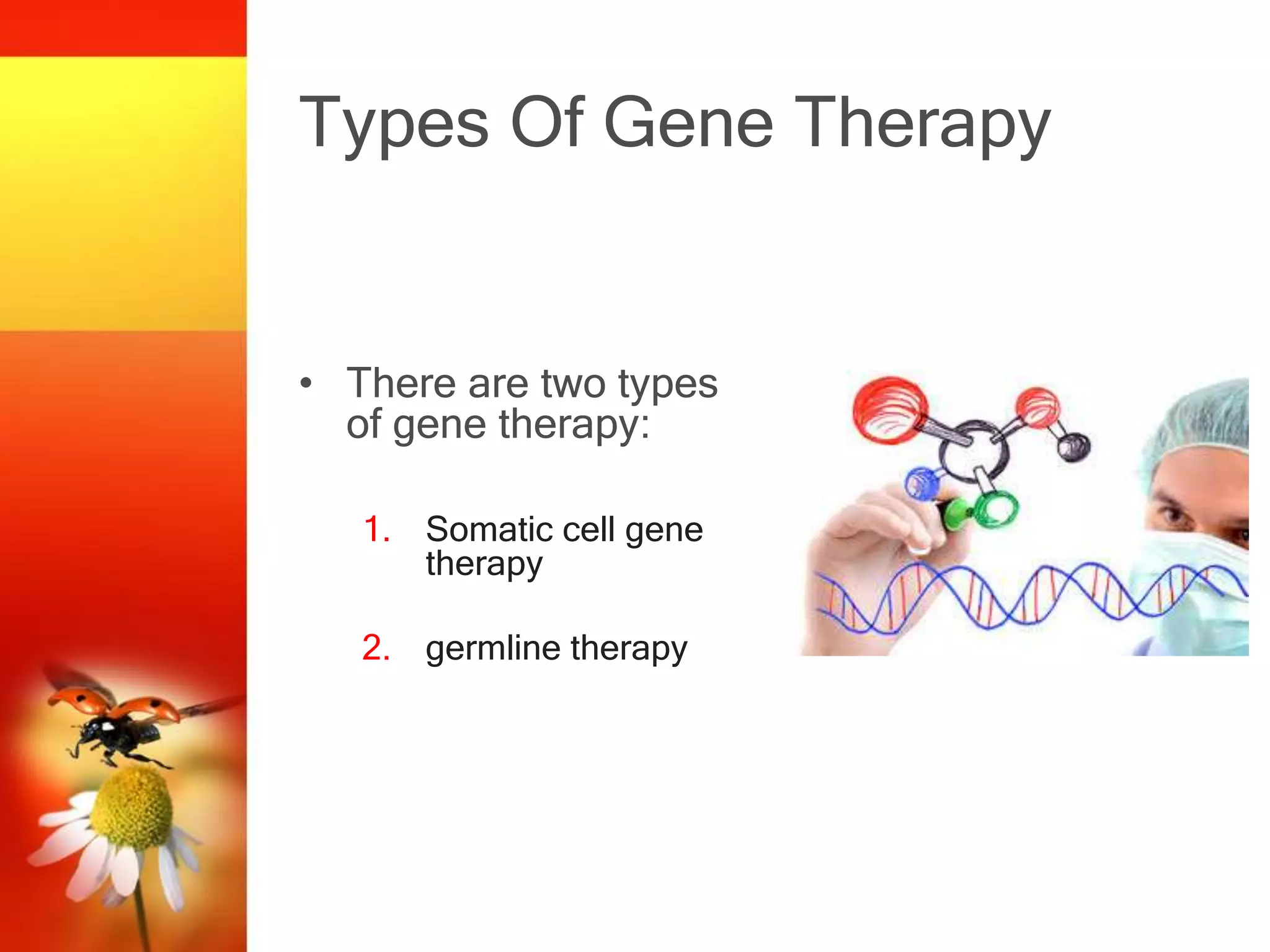 Types Of Gene Therapy
• There are two types
of gene therapy:
1. Somatic cell gene
therapy
2. germline therapy