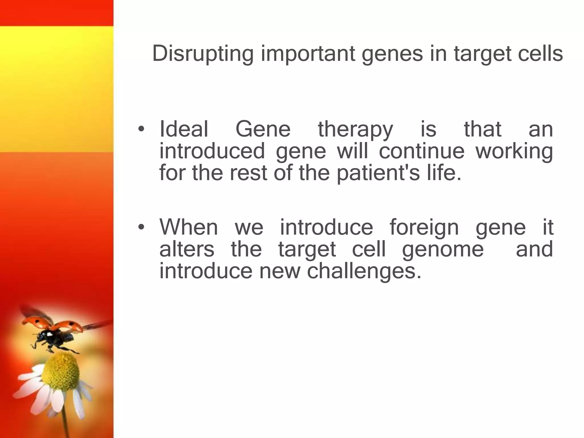 Disrupting important genes in target cells
• Ideal Gene therapy is that an
introduced gene will continue working
for the rest of the patient's life.
• When we introduce foreign gene it
alters the target cell genome and
introduce new challenges.