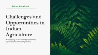 Challenges and
Opportunities in
Indian
Agriculture
Tribes For Good
A case study on the current Social Impact
organizations in Indian Agriculture
 