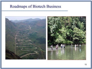 Roadmaps of Biotech Business




                               13
 
