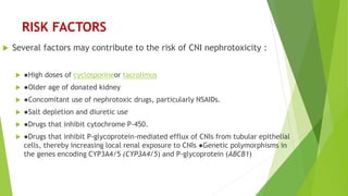 RISK FACTORS
 Several factors may contribute to the risk of CNI nephrotoxicity :
 ●High doses of cyclosporineor tacrolimus
 ●Older age of donated kidney
 ●Concomitant use of nephrotoxic drugs, particularly NSAIDs.
 ●Salt depletion and diuretic use
 ●Drugs that inhibit cytochrome P-450.
 ●Drugs that inhibit P-glycoprotein-mediated efflux of CNIs from tubular epithelial
cells, thereby increasing local renal exposure to CNIs ●Genetic polymorphisms in
the genes encoding CYP3A4/5 (CYP3A4/5) and P-glycoprotein (ABCB1)
 