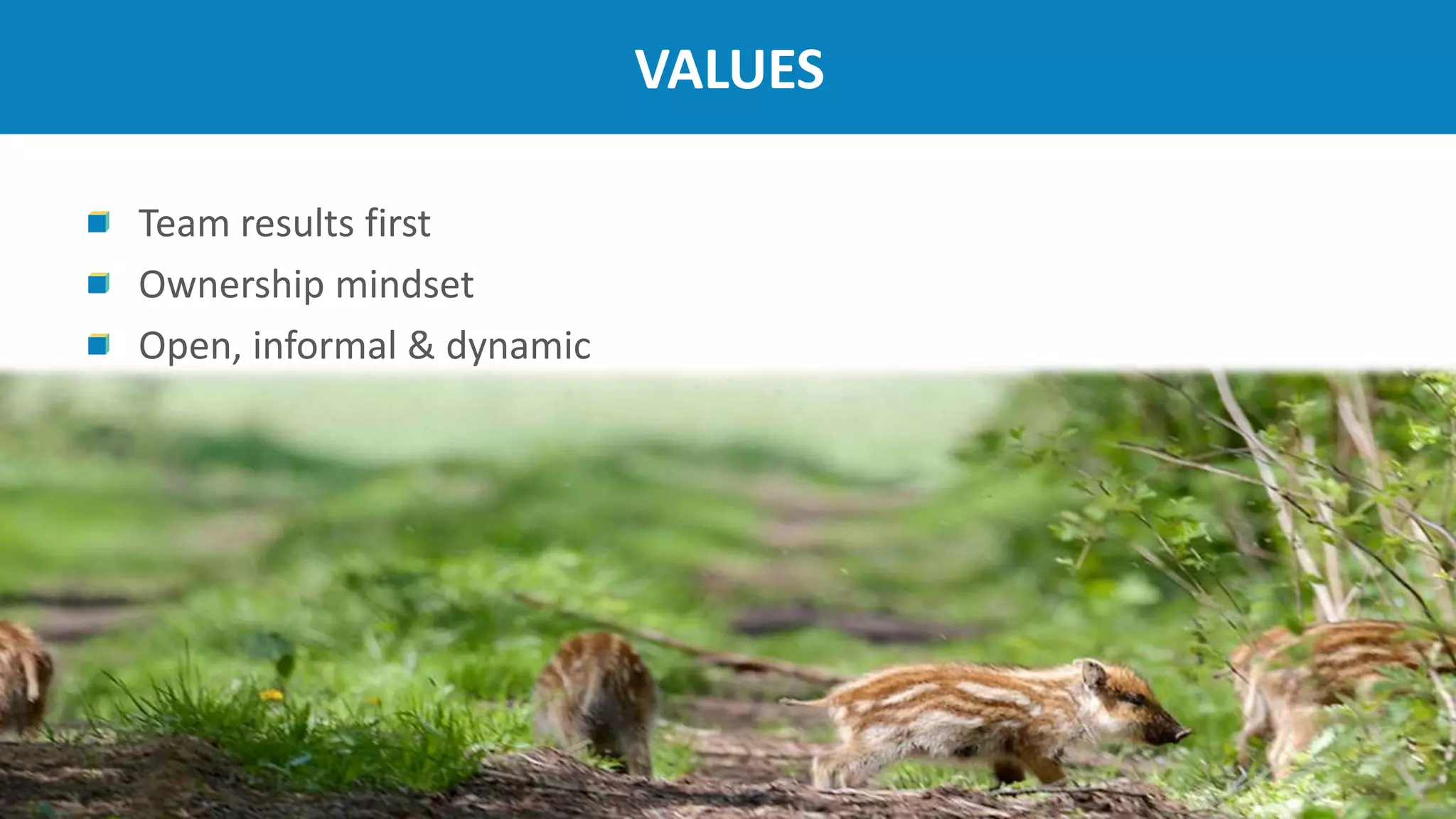 VALUES
Team results first
Ownership mindset
Open, informal & dynamic
a
 