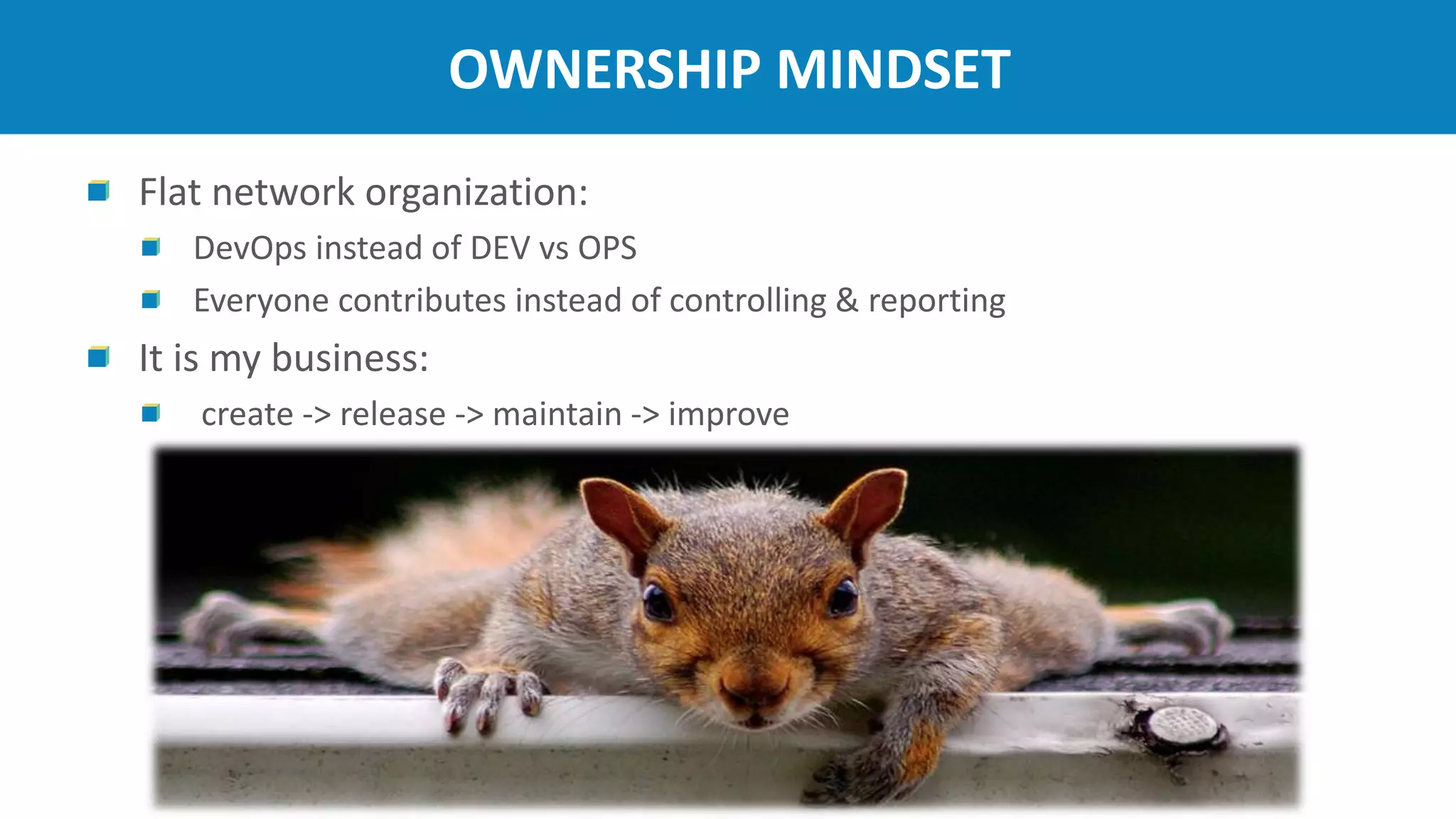 OWNERSHIP MINDSET
Flat network organization:
DevOps instead of DEV vs OPS
Everyone contributes instead of controlling & reporting
It is my business:
create -> release -> maintain -> improve
 