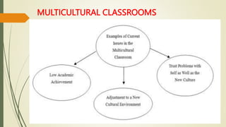 MULTICULTURAL CLASSROOMS
 