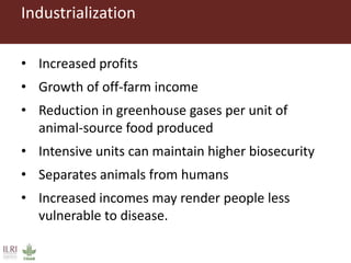 Challenges in intensifying India smallholder dairy production: Health risks and productivity gaps