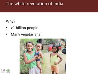 Challenges in intensifying India smallholder dairy production: Health risks and productivity gaps