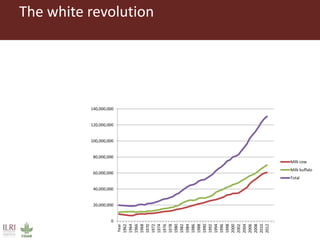Challenges in intensifying India smallholder dairy production: Health risks and productivity gaps