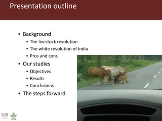Challenges in intensifying India smallholder dairy production: Health risks and productivity gaps