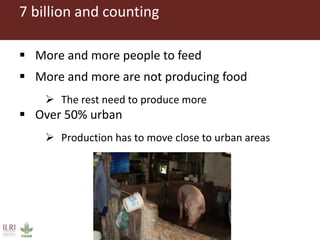 Challenges in intensifying India smallholder dairy production: Health risks and productivity gaps