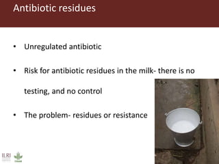 Challenges in intensifying India smallholder dairy production: Health risks and productivity gaps