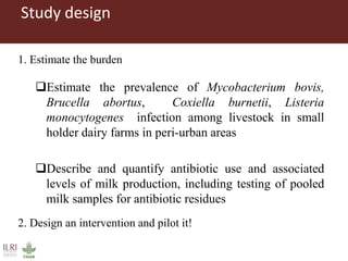 Challenges in intensifying India smallholder dairy production: Health risks and productivity gaps