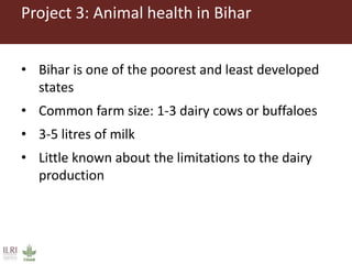 Challenges in intensifying India smallholder dairy production: Health risks and productivity gaps