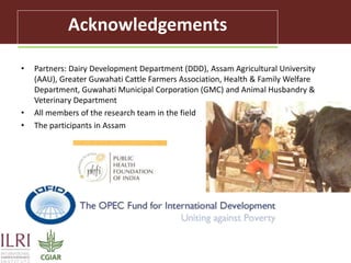 Challenges in intensifying India smallholder dairy production: Health risks and productivity gaps