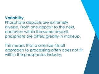 Variability
Phosphate deposits are extremely
diverse. From one deposit to the next,
and even within the same deposit,
phosphate ore differs greatly in makeup.
This means that a one-size-fits-all
approach to processing often does not fit
within the phosphates industry.
 