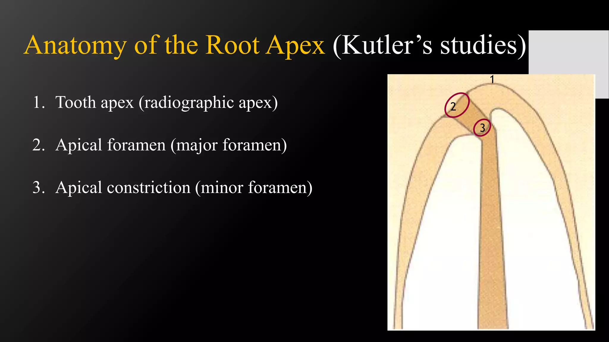 Challenges in working length determination | PPTX
