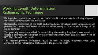 Challenges in working length determination | PPTX