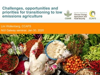 Lini Wollenberg, CCAFS
NUI Galway seminar, Jan 30, 2020
Challenges, opportunities and
priorities for transitioning to low
emissions agriculture
 