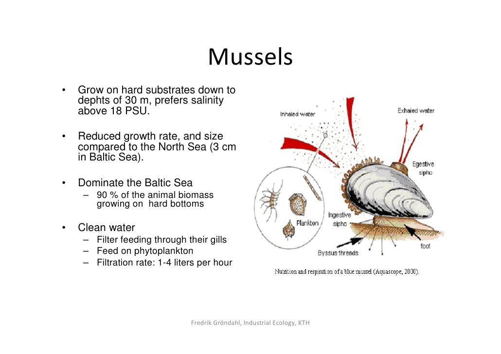 Sustainable use of Baltic Sea natural resources based on ...