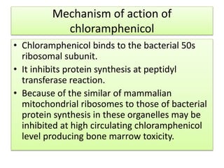 Mechanism of action of
chloramphenicol
• Chloramphenicol binds to the bacterial 50s
ribosomal subunit.
• It inhibits protein synthesis at peptidyl
transferase reaction.
• Because of the similar of mammalian
mitochondrial ribosomes to those of bacterial
protein synthesis in these organelles may be
inhibited at high circulating chloramphenicol
level producing bone marrow toxicity.
 
