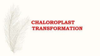 CHALOROPLAST
TRANSFORMATION
 