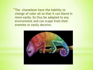 *The chameleon have the hability to
change of color all so that it can blend in
more easily. So thus be adapted to any
environment and can scape from their
enemies or easily deceive.
 