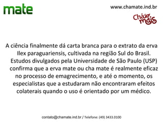 www.chamate.ind.br




A ciência finalmente dá carta branca para o extrato da erva
     Ilex paraguariensis, cultivada na região Sul do Brasil.
  Estudos divulgados pela Universidade de São Paulo (USP)
 confirma que a erva mate ou cha mate é realmente eficaz
    no processo de emagrecimento, e até o momento, os
   especialistas que a estudaram não encontraram efeitos
     colaterais quando o uso é orientado por um médico.


              contato@chamate.ind.br / Telefone: (49) 3433.0100
 