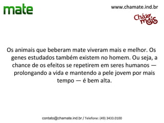 www.chamate.ind.br




Os animais que beberam mate viveram mais e melhor. Os
 genes estudados também existem no homem. Ou seja, a
 chance de os efeitos se repetirem em seres humanos —
  prolongando a vida e mantendo a pele jovem por mais
                  tempo — é bem alta.




            contato@chamate.ind.br / Telefone: (49) 3433.0100
 