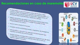 Recomendaciones en caso de maremotos
 